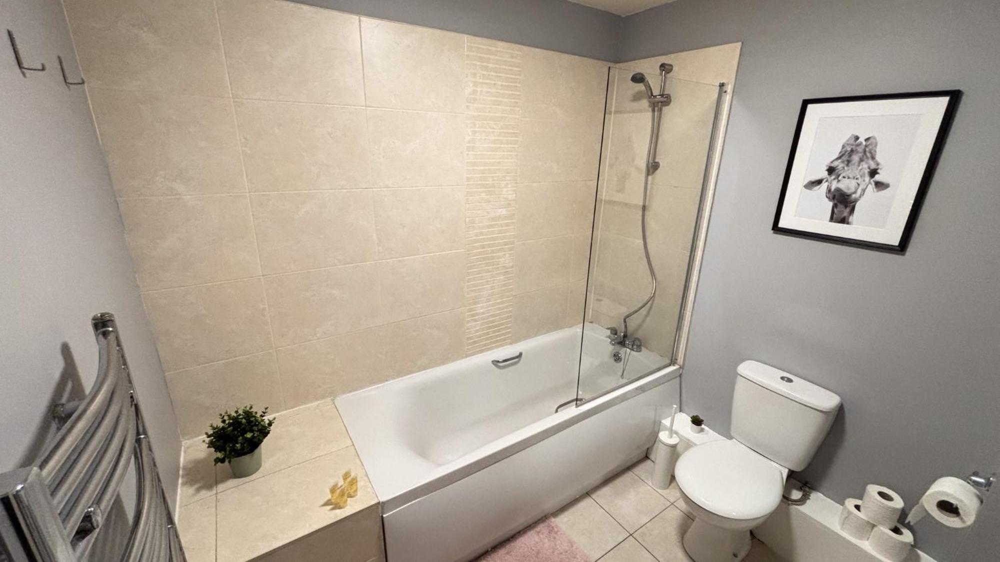One-Bedroom Apartment,1705123520:JPEG